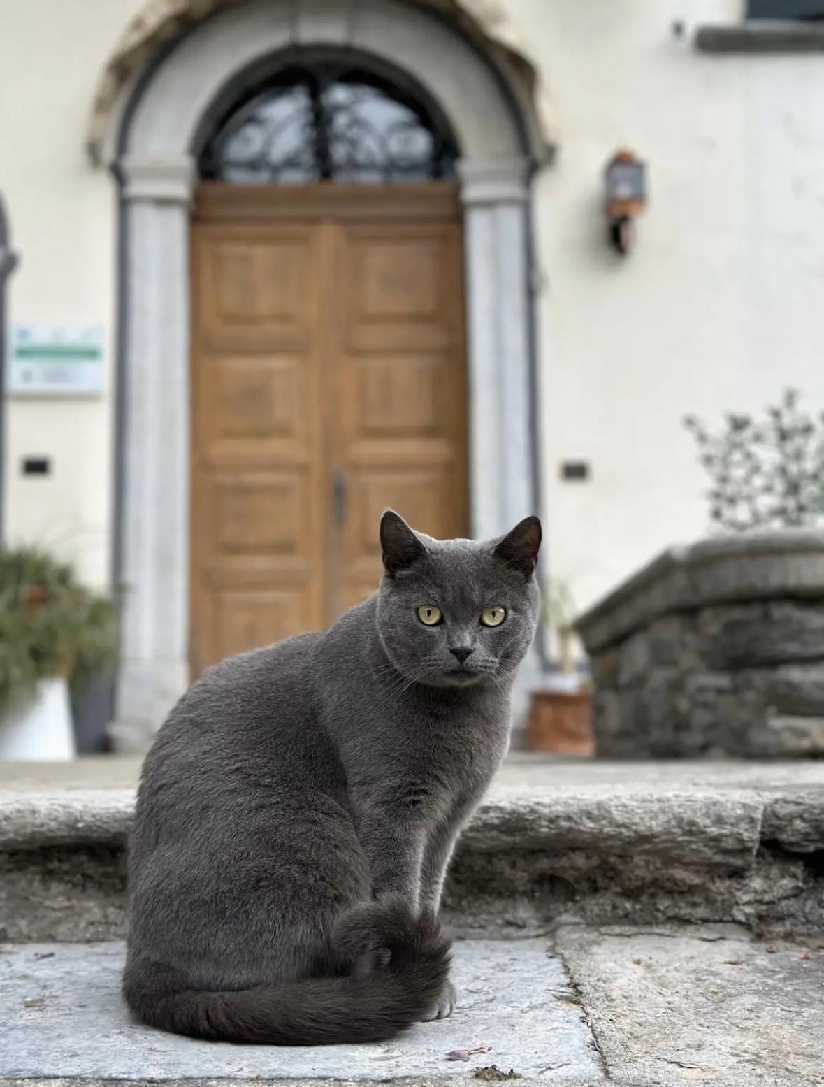B&B La Dolce Casa Lago Di Como Cremia Exteriér fotografie