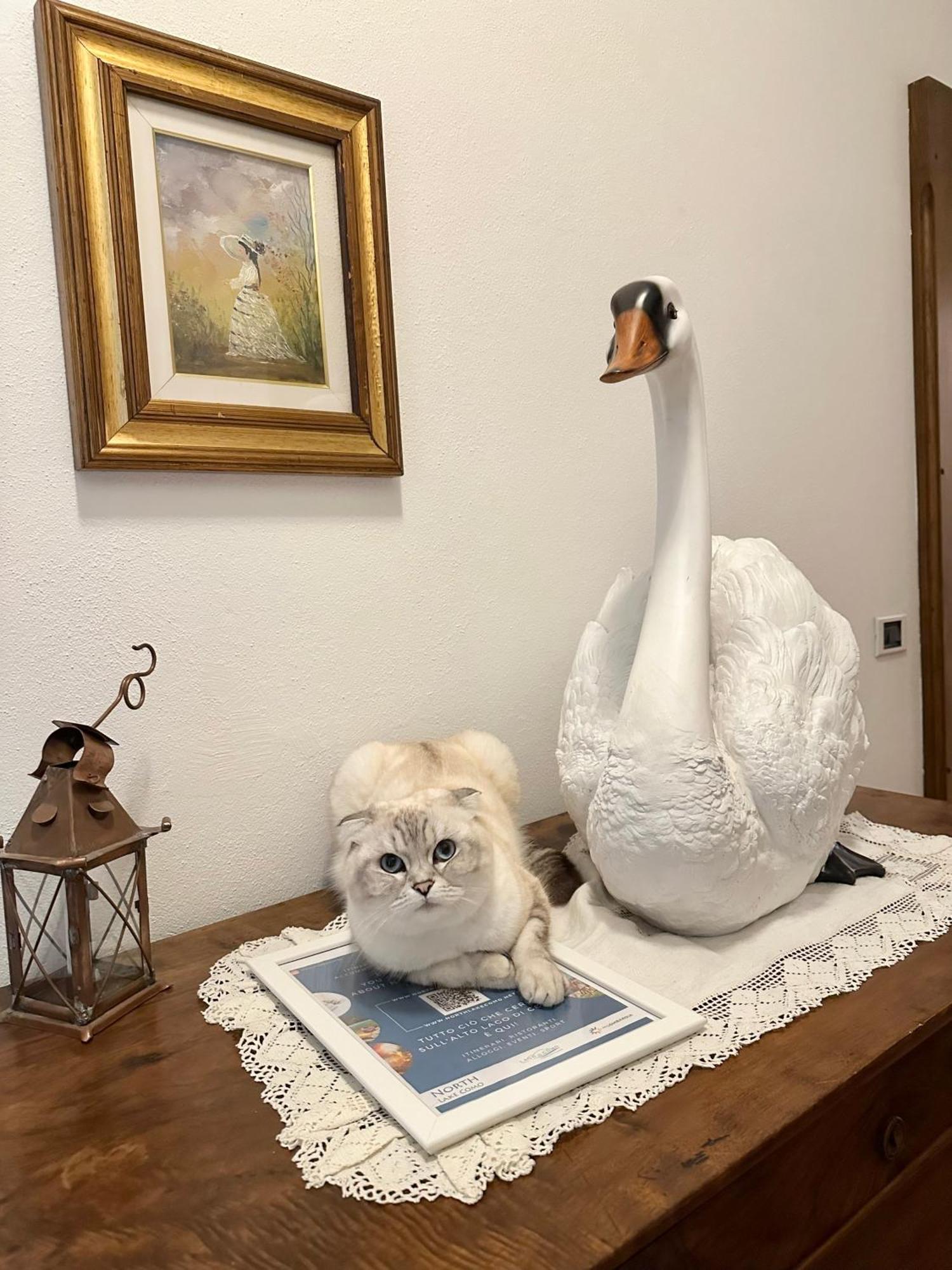 B&B La Dolce Casa Lago Di Como Cremia Exteriér fotografie